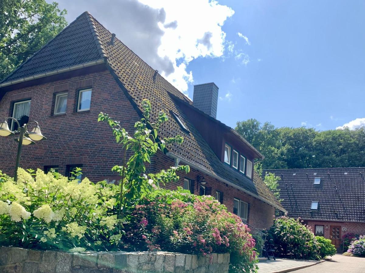 Apartment Hillmer Bispingen Exterior foto