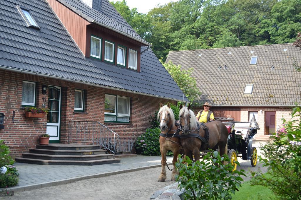 Apartment Hillmer Bispingen Exterior foto